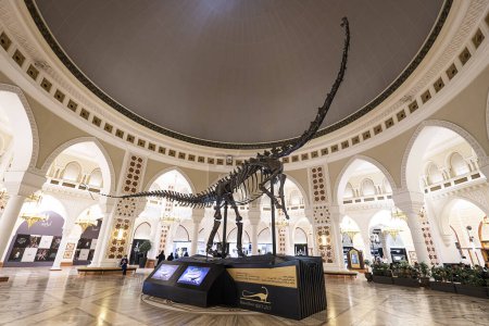 Photo for Dubai, UAE , United Arab Emirates. November 28th, 2022. : dinosaur skeleton in Dubai Mall shopping center. skeleton of a Sauropod - Royalty Free Image