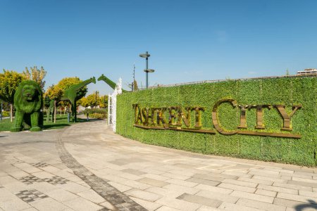 the Tashkent city park lit by sun on a green grass background on a daytime.