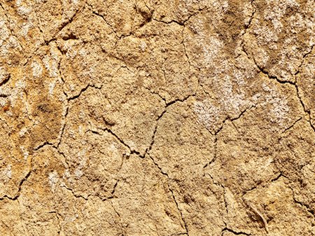 Téléchargez les photos : Fond de terre fissurée sèche. le fond asséché du lac pendant la saison sèche en Afrique. - en image libre de droit