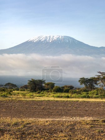 Foto de Hermoso paisaje africano en el fondo del Kilimanjaro. Kenia. ¡África! hermosa vista de la sabana africana y el volcán Kilimanjaro - Imagen libre de derechos