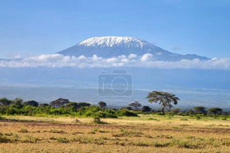 Foto de Hermoso paisaje africano en el fondo del Kilimanjaro. Kenia. ¡África! hermosa vista de la sabana africana y el volcán Kilimanjaro - Imagen libre de derechos