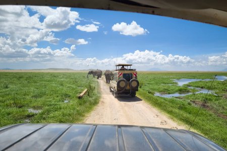 Tourists in safari jeeps watching and taking photos of big wild elephant crossing dirt road in Amboseli national park, Kenya.