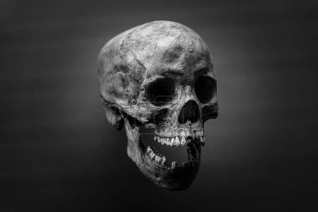 Foto de Un espeluznante cráneo humano gris sobre un fondo oscuro. Fotografía en blanco y negro. El concepto de miedo y horror. - Imagen libre de derechos