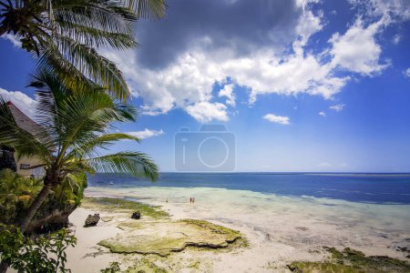 Wunderschöne tropische Küste von Mombasa in Kenia. hohe Kokospalmen vor dem Hintergrund eines wunderschönen Strandes. Der Indische Ozean.
