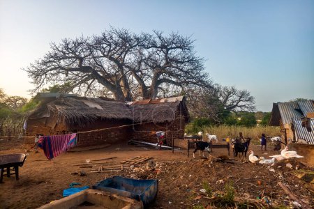 Foto de Calle polvorienta del pobre pueblo africano. Una pobre aldea africana en el este de África. Malas condiciones de vida. - Imagen libre de derechos