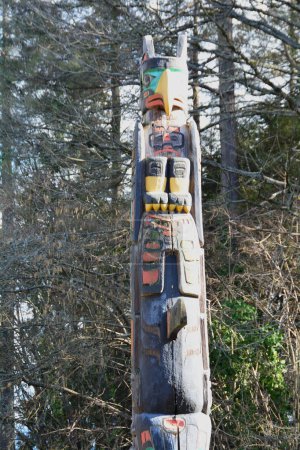 Photo for The totem poles poles in Stanley Park in Vancouver BC, Canada.  This attraction in Vancouver is seen by the most tourists, come explore Vancouver. - Royalty Free Image