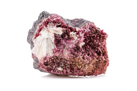 Téléchargez les photos : Photo rapprochée de pierres précieuses minérales d'érythrite pourpre isolées sur fond blanc - en image libre de droit