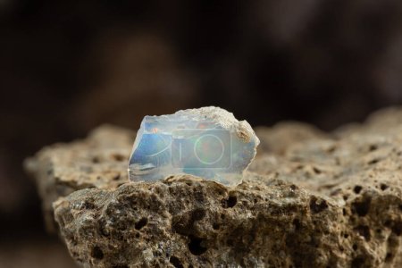 Photo for Raw Uncut Piece of Opal Mineral Stone. Geology Gem Crystal Collection on Natural Background - Royalty Free Image