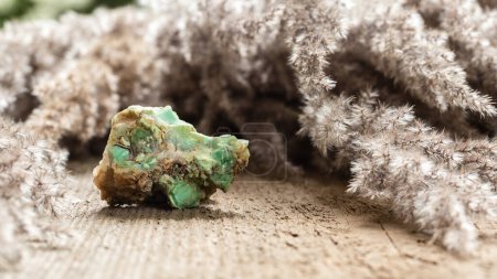 Photo for Raw Uncut Green Chrysoprase or Chrysophrase Crystal. Chakra Healing Treatment with Crystals. Mineral Stone Collection - Royalty Free Image