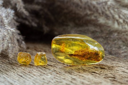 Foto de Amber-like Yellow Copal with Rosin Mineralized Stones Samples on Wooden Background - Imagen libre de derechos