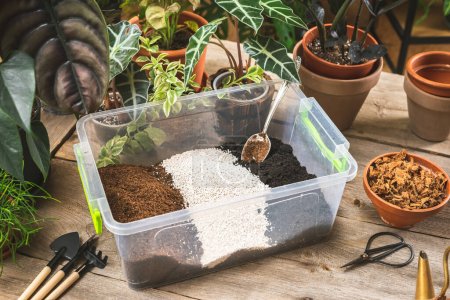 Téléchargez les photos : Plastic container with the soil mixing ingredients, peet moss, perlite, gardening soil, and coco husk chips. - en image libre de droit