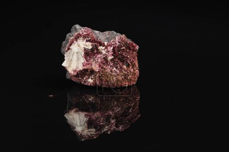 Téléchargez les photos : Closeup Photo of Raw Crimson Erythrite Mineral Gemstone on Black Background with Reflection - en image libre de droit