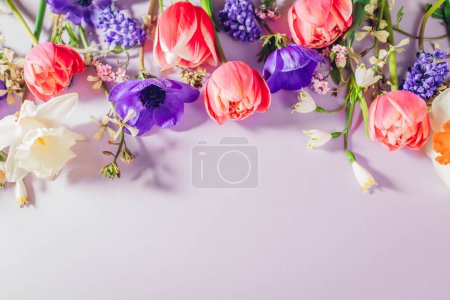 Foto de Mockup para el día de la madre. Rosa púrpura azul y blanco flores de primavera de fondo. Los tulipanes anémonas narcisos florecen. Vista superior. Espacio - Imagen libre de derechos