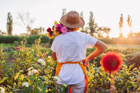 Foto de Vista trasera del jardinero sosteniendo ramo de dalias con tijera recogiendo flores en la granja de flores rurales al atardecer disfrutando de la vista. Flor negocio - Imagen libre de derechos