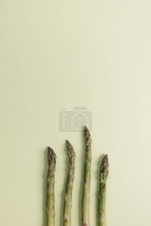 Asparagus arranged in a row on a light green background top view