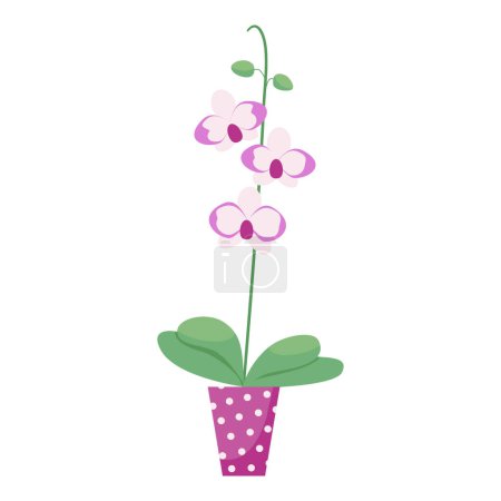 Téléchargez les illustrations : Fleur d'orchidée rose exotique en pot de fleurs. Orchidée Phalaenopsis floraison en pleine croissance. Plante florale en pot - tige gracieuse, feuilles, fleurs et bourgeons impétueux. Illustration vectorielle de style plat - en licence libre de droit