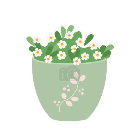 Illustration for Early spring garden flowers in cute pots. Floral vector design elements for Happy womens day March 8, Valentines Day, birthday. Blooming small white flowers isolated on white. - Royalty Free Image