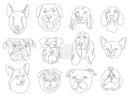 Illustration for Set of one continuous line drawing dog breed portrait icons. Vector Images of schnauzer, dachshund, bulldog, beagle, pug, corgi, bull terrier. Single line minimal style cute puppy black linear sketch - Royalty Free Image