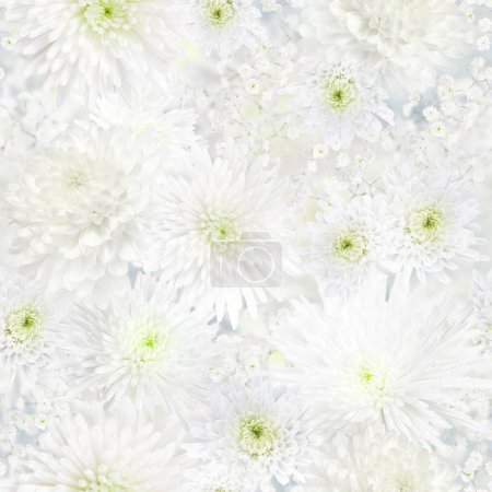 Foto de Crisantemo y Gypsophila flor blanca boda sin costuras o fondo romántico - Imagen libre de derechos