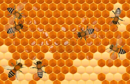 Foto de Vista de cerca de las abejas de trabajo en las células de miel ilustración vectorial - Imagen libre de derechos
