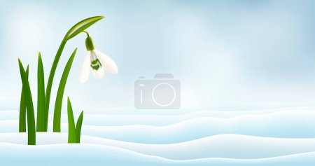 Foto de Flores de nieve en la nieve ilustración vector realista - Imagen libre de derechos