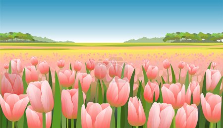 Foto de Campo de tulipán rosa con el cielo azul vector ilustración paisaje realista - Imagen libre de derechos