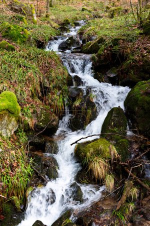Téléchargez les photos : Cours d'eau dans les Vosges avec cascade lumineuse. L'intimité d'un petit ruisseau de montagne dans les Vosges alsaciennes. France - en image libre de droit