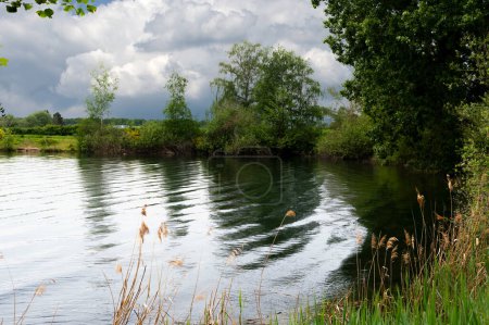 Téléchargez les photos : Ciel orageux et lac en Alsace France. Une petite piscine d'eau claire entourée d'arbres sous un ciel nuageux. - en image libre de droit