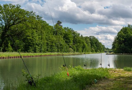 Téléchargez les photos : Des cannes à pêche sont installées au bord de l'eau. Sur le canal de Marne à Rhin, les pêcheurs de carpes se sont déplacés à l'ombre. - en image libre de droit