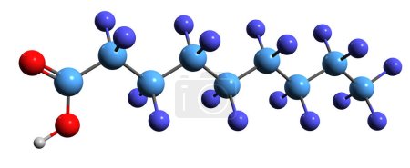 Photo for 3D image of Perfluorononanoic acid skeletal formula - molecular chemical structure of  synthetic perfluorinated carboxylic acid isolated on white background - Royalty Free Image