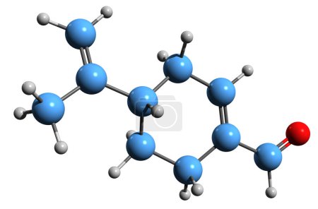 Foto de Imagen 3D de la fórmula esquelética de perillaldehído: estructura química molecular del compuesto orgánico natural aislado sobre fondo blanco - Imagen libre de derechos