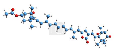 Foto de Imagen 3D de la fórmula esquelética de peridinina - estructura química molecular del apocarotenoide aislado sobre fondo blanco - Imagen libre de derechos
