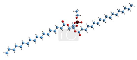 Photo for 3D image of Phosphatidylethanol skeletal formula - molecular chemical structure of phospholipid isolated on white background - Royalty Free Image
