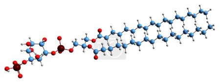 Téléchargez les photos : Image 3D de Phosphatidylinositol phosphate formule squelettique structure chimique moléculaire de PIP isolé sur fond blanc - en image libre de droit