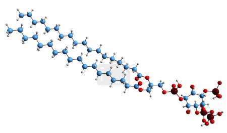 Foto de Imagen 3D de Fosfatidilinositol fórmula trisfosfato esquelético - estructura química molecular de fosfolípido PIP3 aislado sobre fondo blanco - Imagen libre de derechos