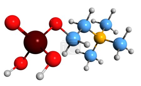 Imagen 3D de la fórmula esquelética de fosfocolina - estructura química molecular de fosfatidilcolina intermedia aislada sobre fondo blanco