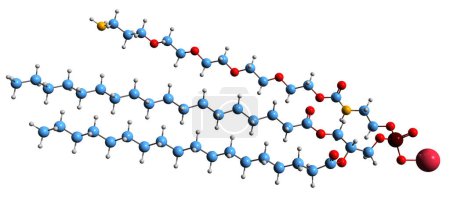 Photo for 3D image of Phospholipid-PEG-NH2 skeletal formula - molecular chemical structure of phospholipid isolated on white background - Royalty Free Image
