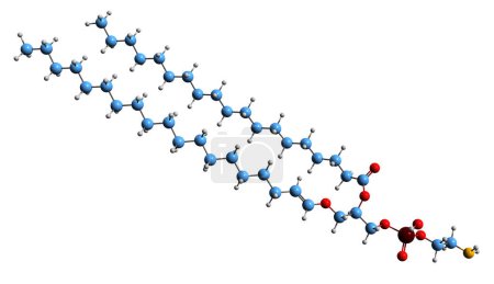 Photo for 3D image of Plasmalogen skeletal formula - molecular chemical structure of Glycerophospholipid Example isolated on white background - Royalty Free Image