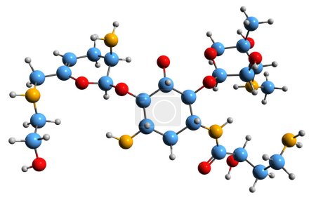 Foto de Imagen 3D de la fórmula esquelética de Plazomicina - estructura química molecular del antibiótico aminoglucósido aislado sobre fondo blanco - Imagen libre de derechos