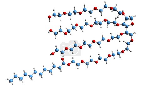 Foto de Imagen 3D de la fórmula esquelética del polisorbato 20: estructura química molecular del tensioactivo no iónico E432 aislado sobre fondo blanco - Imagen libre de derechos