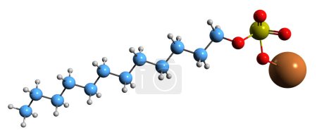 Téléchargez les photos : Image 3D de la formule squelettique laurylsulfate de potassium - structure chimique moléculaire du dodécylsulfate de potassium isolé sur fond blanc - en image libre de droit