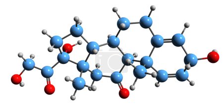 Foto de Imagen 3D de la fórmula esquelética de Prednisone - estructura química molecular de la medicación glucocorticoide aislada sobre fondo blanco - Imagen libre de derechos