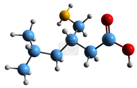 Téléchargez les photos : Image 3D de la formule squelettique de la prégabaline - structure chimique moléculaire des médicaments anticonvulsivants, analgésiques et anxiolytiques isolés sur fond blanc - en image libre de droit