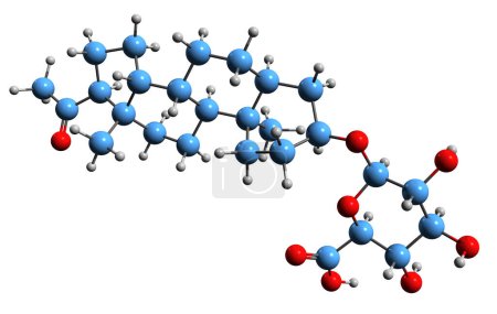 Foto de Imagen 3D de la fórmula esquelética del glucurónido de Pregnanediol - estructura química molecular del metabolito de progesterona aislado sobre fondo blanco - Imagen libre de derechos