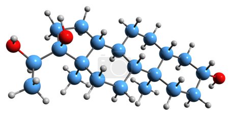 Foto de Imagen 3D de la fórmula esquelética de Pregnanetriol - estructura química molecular del metabolito de progesterona aislado sobre fondo blanco - Imagen libre de derechos