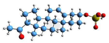 Téléchargez les photos : Image 3D de la formule squelettique du sulfate de prégnénolone - structure chimique moléculaire du neurostéroïde excitateur endogène isolé sur fond blanc - en image libre de droit