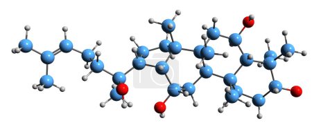 Téléchargez les photos : Image 3D de la formule squelettique de Protopanaxatriol - structure chimique moléculaire du ginsénoside isolé sur fond blanc - en image libre de droit