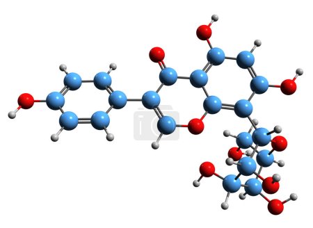 Foto de Imagen 3D de la fórmula esquelética de Puerarin - estructura química molecular de la isoflavona Pueraria aislada sobre fondo blanco - Imagen libre de derechos