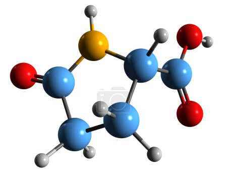 Foto de Imagen 3D de la fórmula esquelética del ácido piroglutámico - estructura química molecular del ácido 5-oxopirrolidina-2-carboxílico aislado sobre fondo blanco - Imagen libre de derechos