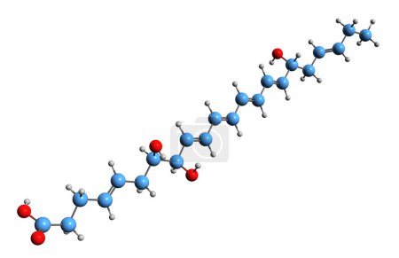 Foto de Imagen 3D de la fórmula esquelética resolvin D1 - estructura química molecular del mediador lipídico aislado sobre fondo blanco - Imagen libre de derechos
